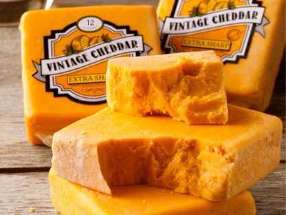 Cheddar Cheese 12 Year Vintage