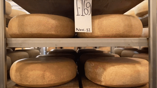 Pleasant Ridge Reserve Cheese – Wisconsin Cheese Mart